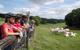Radler*innen schauen auf eine Kuhweide. Quelle: Landratsamt Rhein-Neckar-Kreis Radler*innen schauen auf eine Kuhweide. Quelle: Landratsamt Rhein-Neckar-Kreis