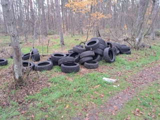 Unbekannte haben im Wald ca. 40 Altreifen illegal entsorgt. Unbekannte haben im Wald ca. 40 Altreifen illegal entsorgt.