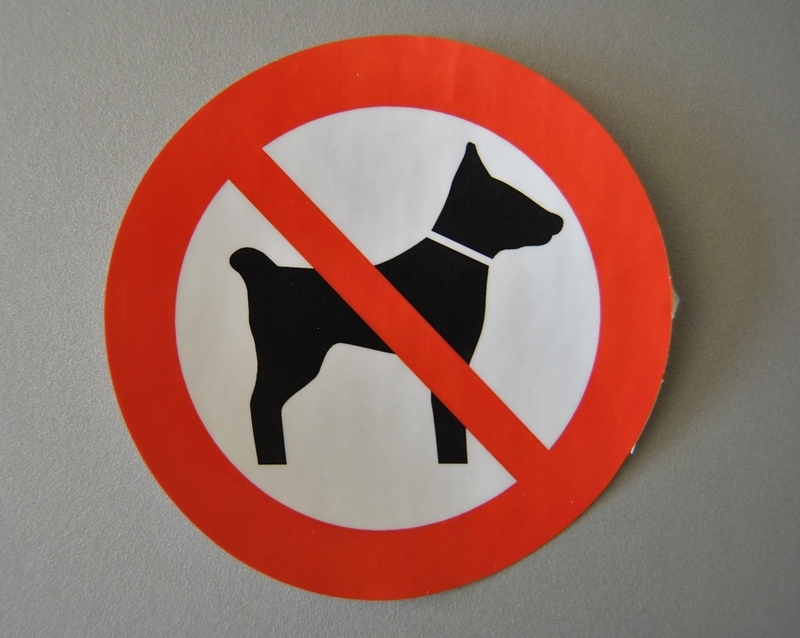 Schild Hunde verboten Schild Hunde verboten