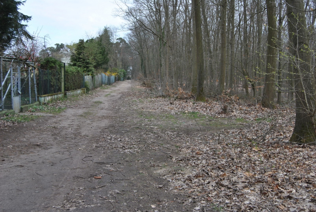 im Sand auf den Kohlwald.JPG im Sand auf den Kohlwald.JPG