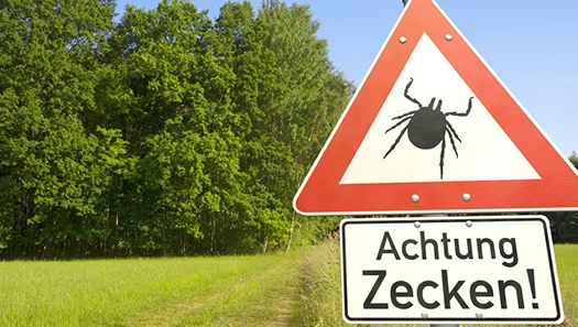Zecken Zecken