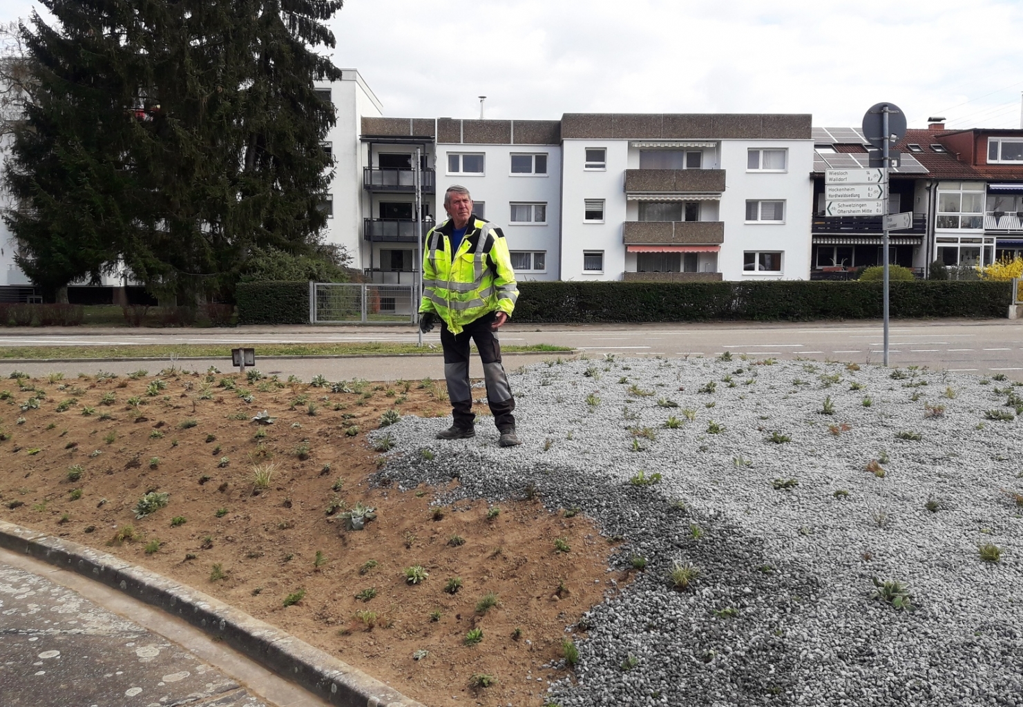 Bauhof Staudenbepflanzung.jpg