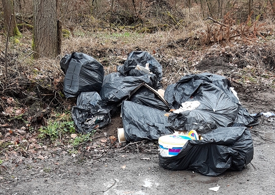 Wilder Müll am Grünhausweg Wilder Müll am Grünhausweg