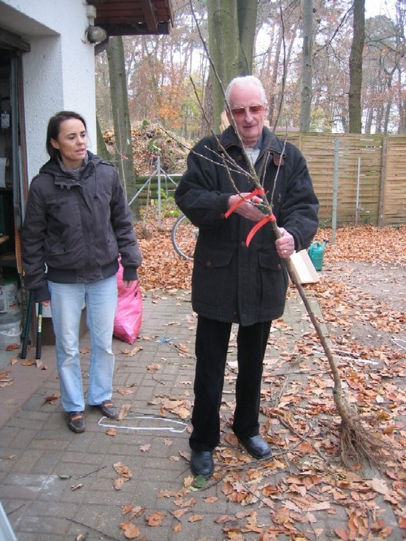 Gartenfreunde bestellten Obstbäume Gartenfreunde bestellten Obstbäume