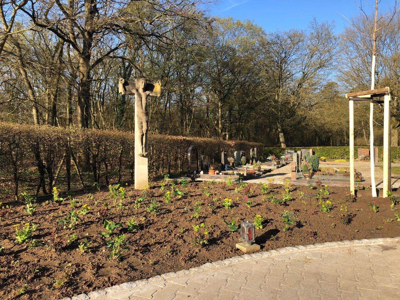 Friedhofseingang: frisch angelegtes Staudenbeet