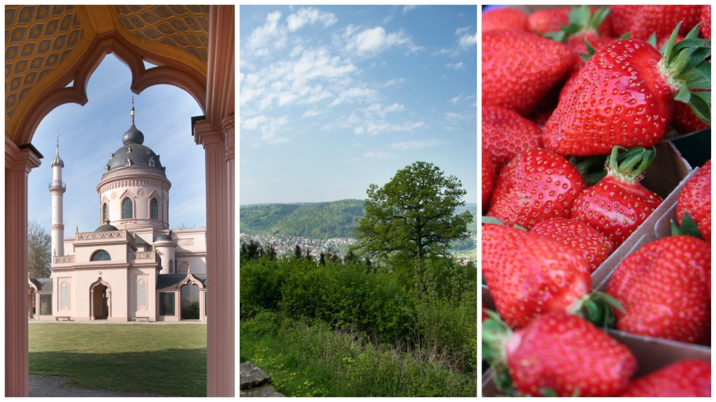 Kultur Natur und Kulinarik / Bild: Landratsamt Rhein-Neckar-Kreis Kultur Natur und Kulinarik / Bild: Landratsamt Rhein-Neckar-Kreis