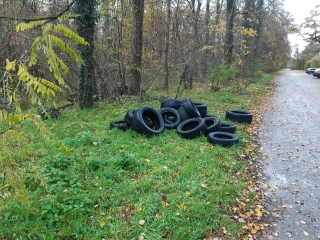 Altreifen wurden illegal am Parkplatz Schützenhaus entsorgt. Altreifen wurden illegal am Parkplatz Schützenhaus entsorgt.