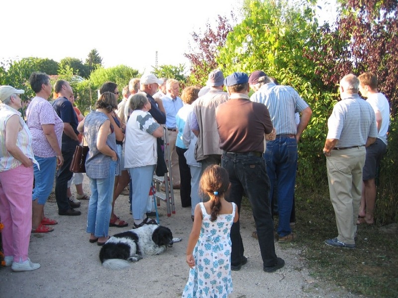 Viele Viele