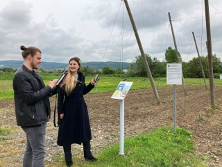 Foto Landratsamt Rhein-Neckar-Kreis: Spannende Einblicke gibt es auch in den Hopfenanbau in Sandhausen. Foto Landratsamt Rhein-Neckar-Kreis: Spannende Einblicke gibt es auch in den Hopfenanbau in Sandhausen.