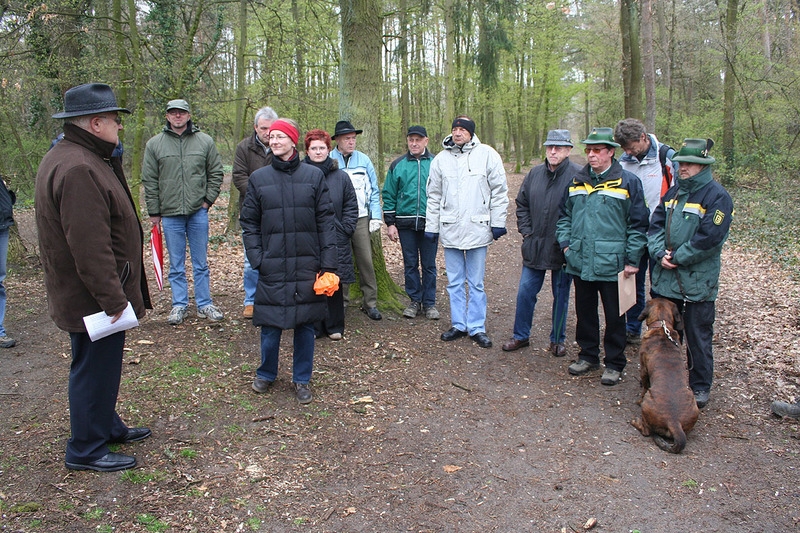 Bild zu Schafherde Bild zu Schafherde