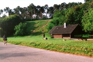Oftersheimer Grillhütte Oftersheimer Grillhütte