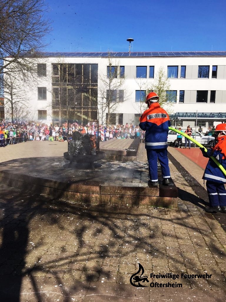 Sommertagsumzug 26.03.17 FFO3.jpeg