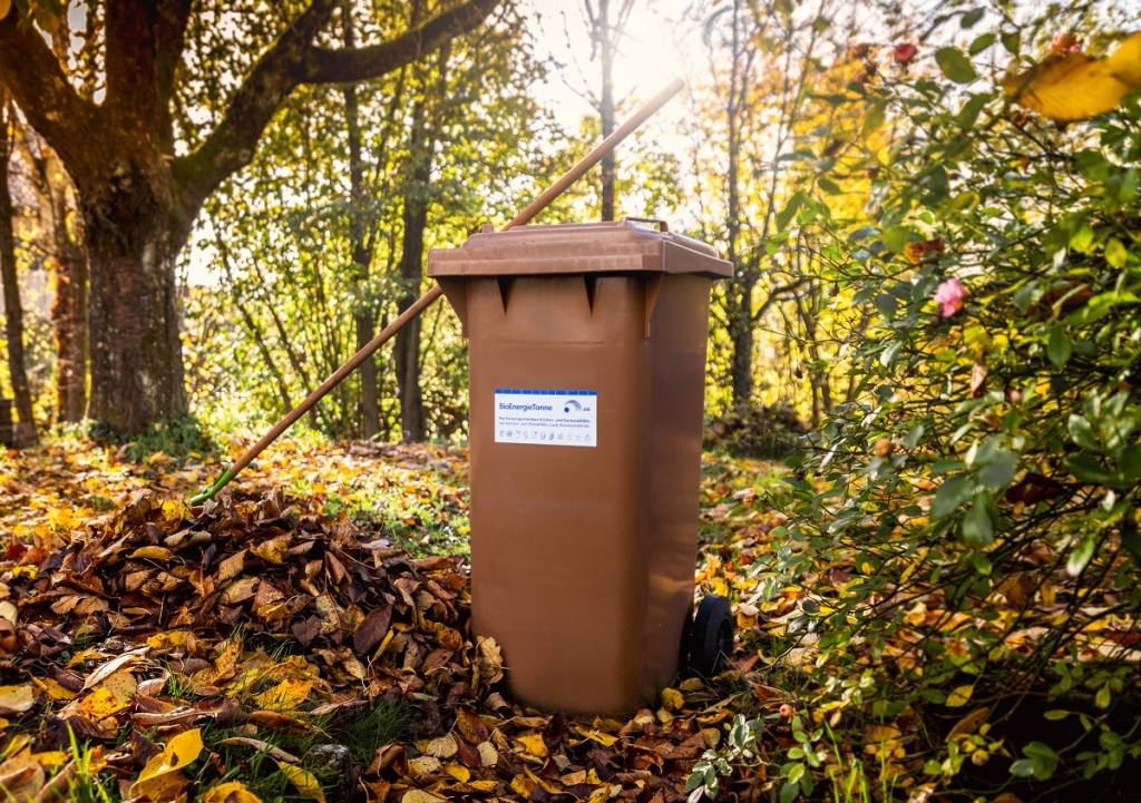 Herbstlaub richtig entsorgen (Foto: AVR) Herbstlaub richtig entsorgen (Foto: AVR)