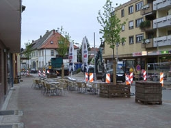 Baummaßnahme Innerorts Baummaßnahme Innerorts
