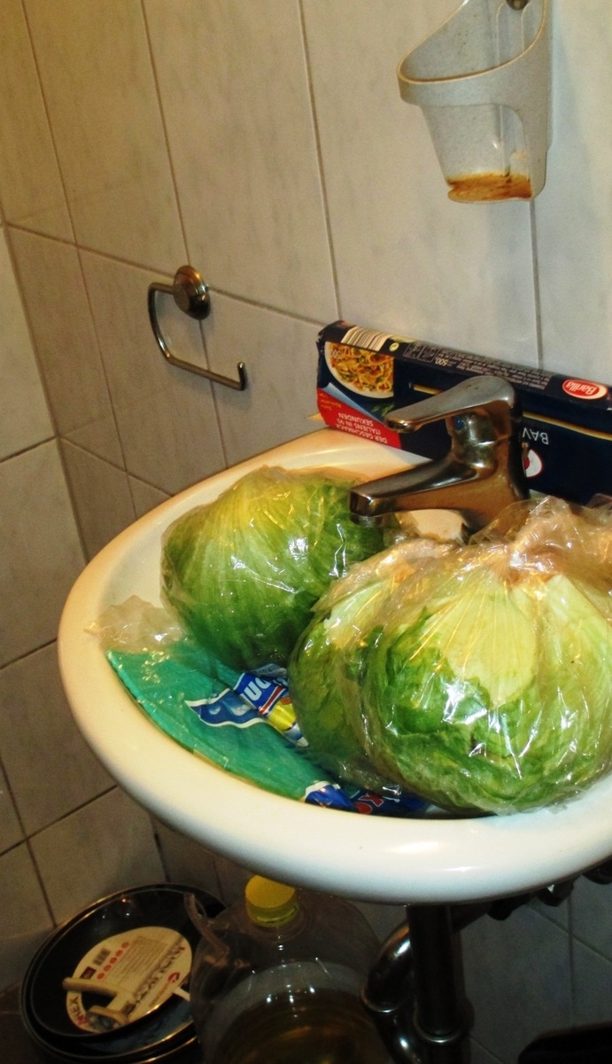 Lebensmittel falsch gelagert 02.jpg Lebensmittel falsch gelagert 02.jpg