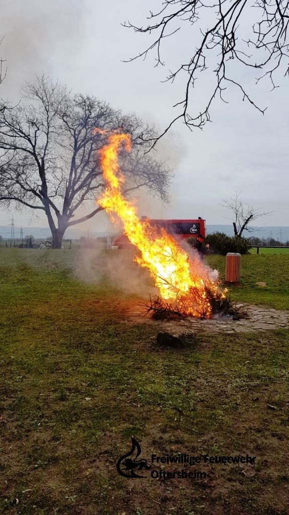 Christbaumsammeln 13.01.2018 FFO2.jpeg