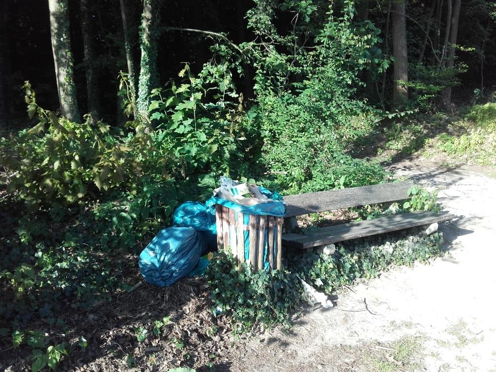 Kleingärten hinter dem Friedhof14.jpg Kleingärten hinter dem Friedhof14.jpg