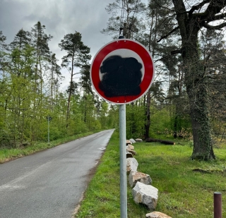 Ein Tempo 30 Schild von fünf Schildern, die auf der Zufahrtsstraße zum Golfplatz mit schwarzer Farbe beschmiert wurden. Ein Tempo 30 Schild von fünf Schildern, die auf der Zufahrtsstraße zum Golfplatz mit schwarzer Farbe beschmiert wurden.