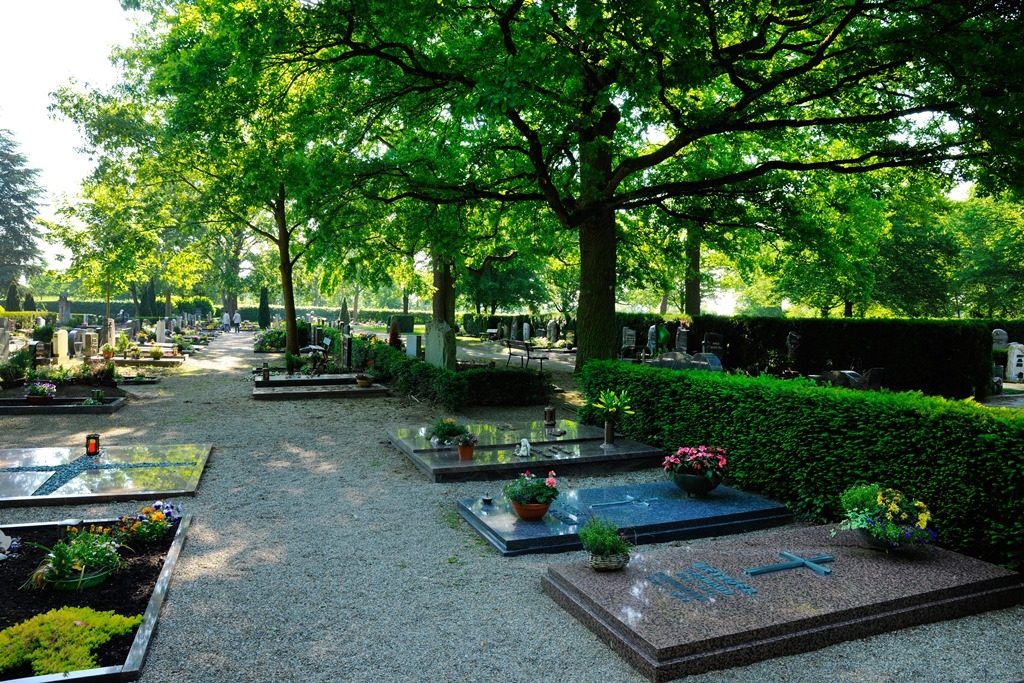 Friedhof Friedhof