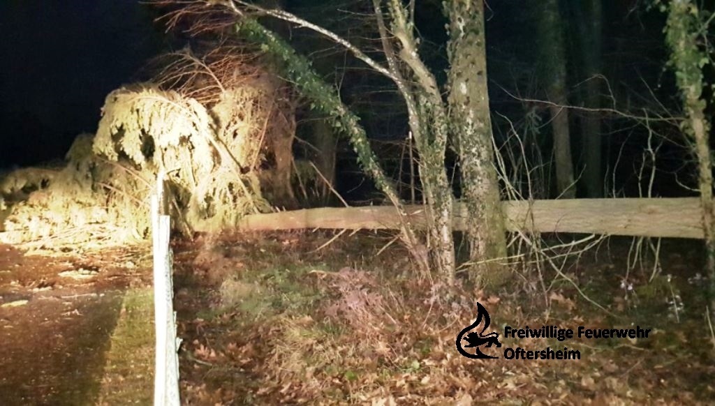 Sturm Baum auf-Straße 03.01.2018 FFO1.jpeg