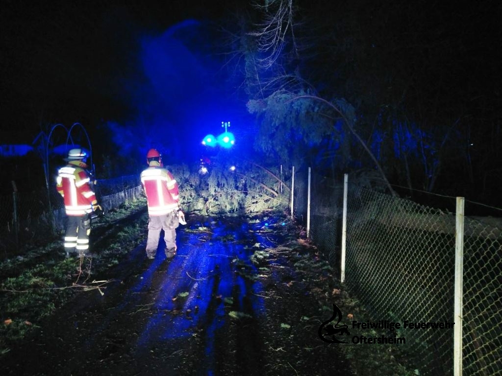 Sturm Baum auf-Straße 03.01.2018 FFO6.jpeg