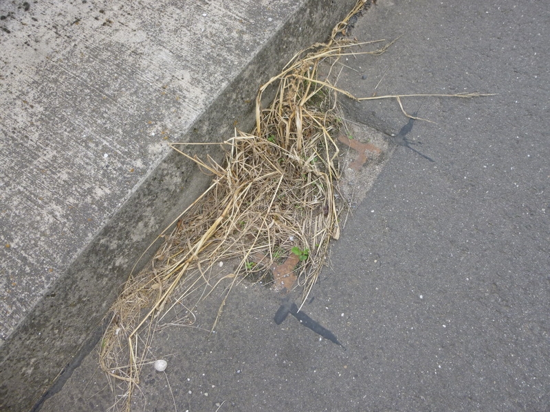 Sinkkastenreinigung Sinkkastenreinigung