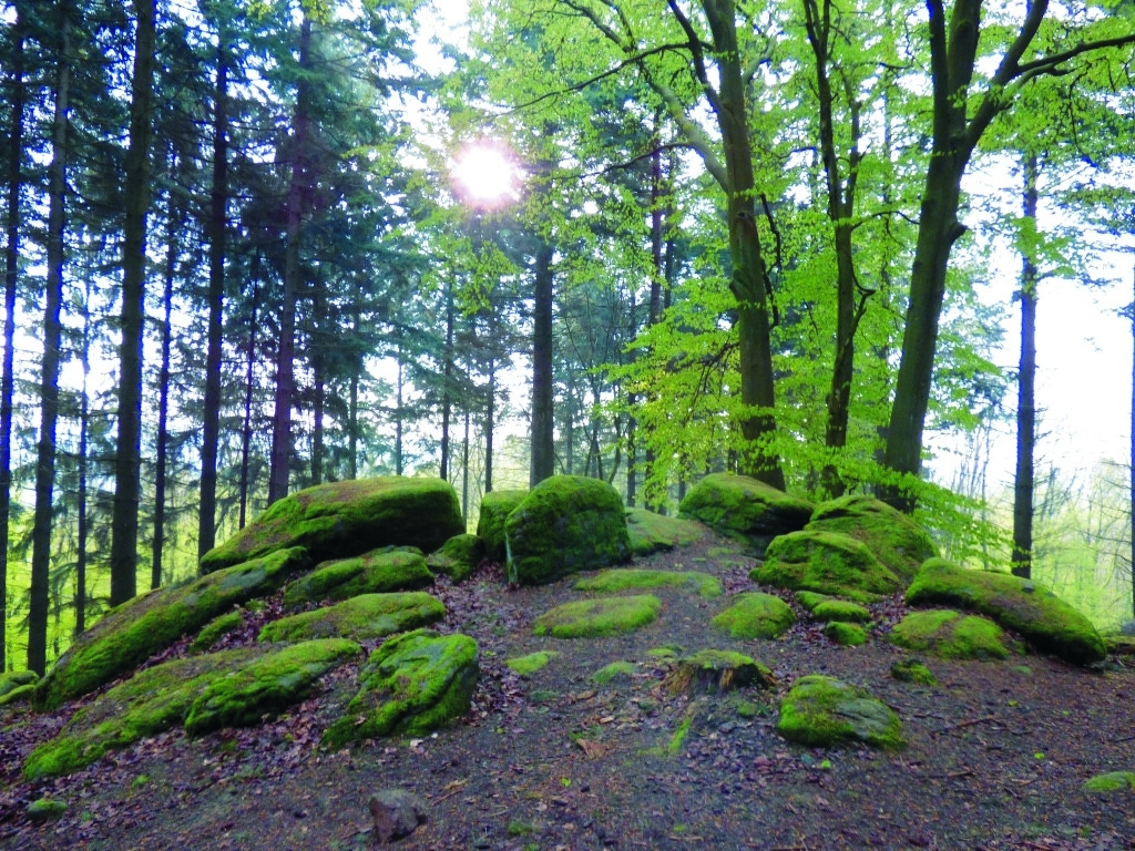 ODENWALD Wilde Leute Stein; Bild: Anni Unger ODENWALD Wilde Leute Stein; Bild: Anni Unger