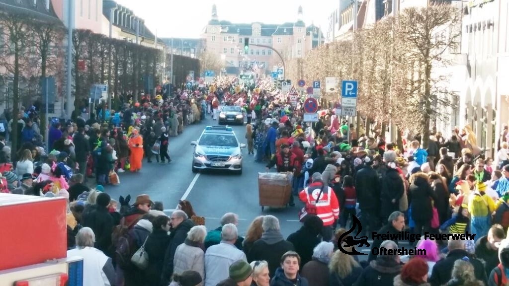 Umzug Fasching Schwetzingen 13.02.2018 FFO1.jpeg