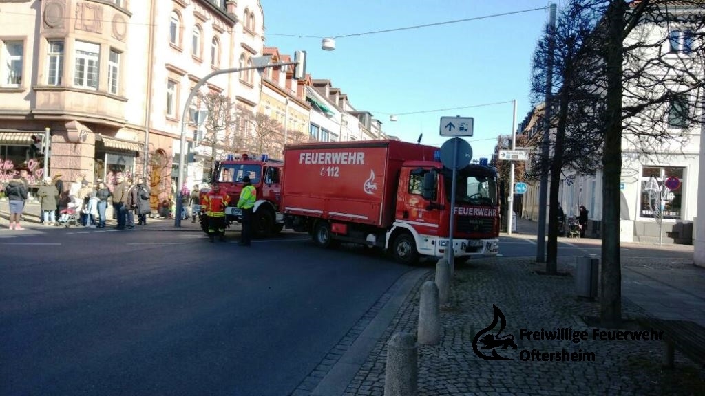 Umzug Fasching Schwetzingen 13.02.2018 FFO2.jpeg