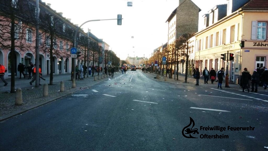Umzug Fasching Schwetzingen 13.02.2018 FFO3.jpeg