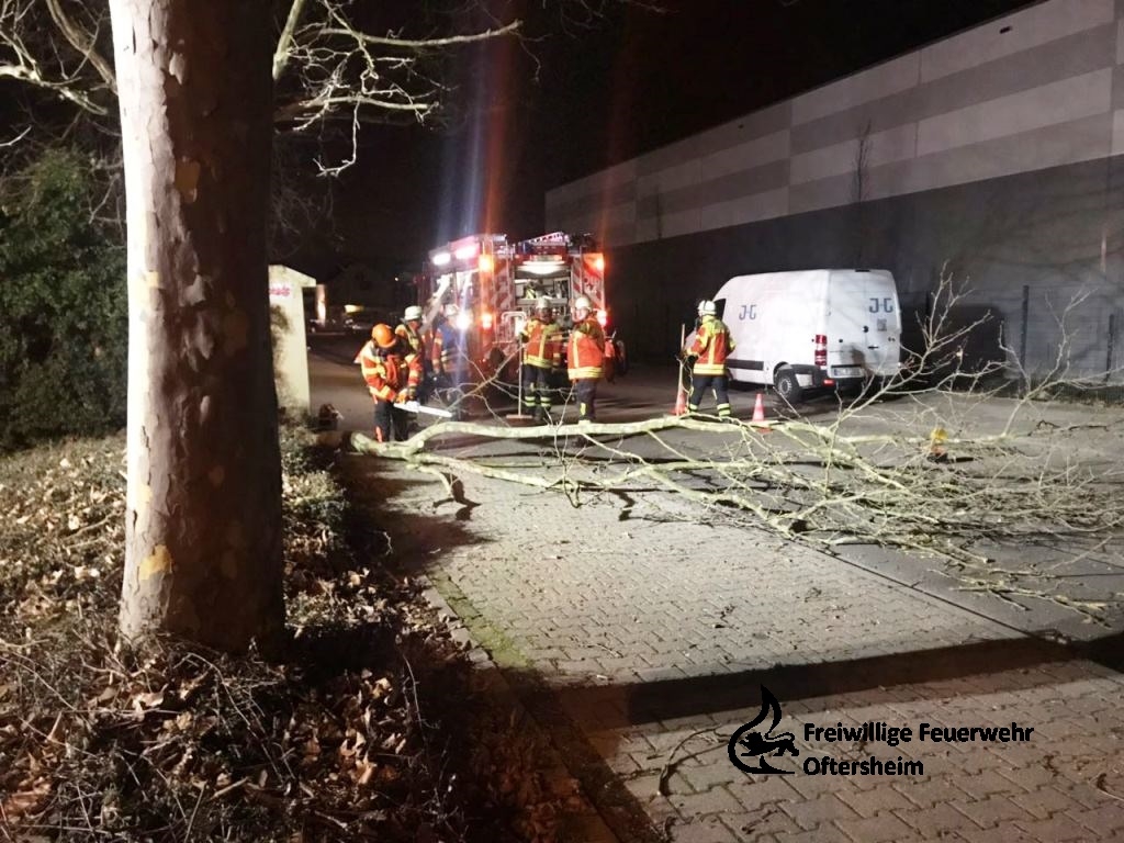 Ast auf Strße Scheffelstraße 25.01.2017 FFO5.jpeg