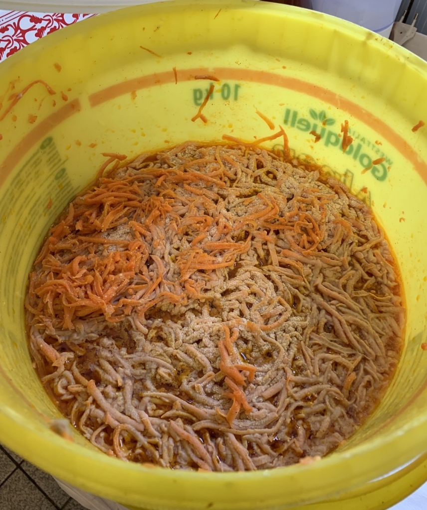 Ein absolutes No-Go in einem Restaurant: Verschimmelter Karottensalat.  Was die Lebensmittelüberwachung manchmal so hinter den Kulissen entdeckt, sieht gar nicht appetitlich aus… Foto Landratsamt Rhein-Neckar