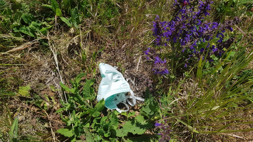 Schutzmasken und Handschuhe gehören in den Restmüll. Foto: AVR Schutzmasken und Handschuhe gehören in den Restmüll. Foto: AVR