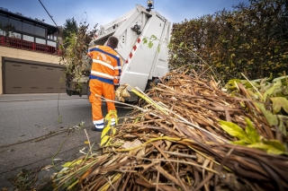 Die AVR holt nach Onlineauftrag Grünschnitt ab. Foto: AVR Die AVR holt nach Onlineauftrag Grünschnitt ab. Foto: AVR