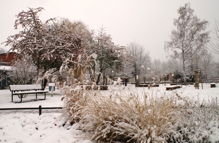 Winter Winter