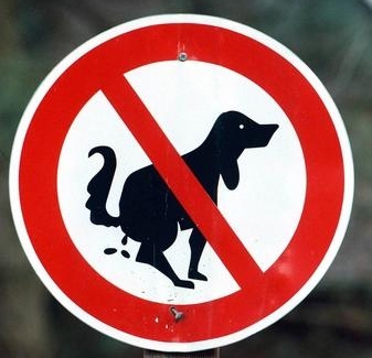 Hundekot Hundekot