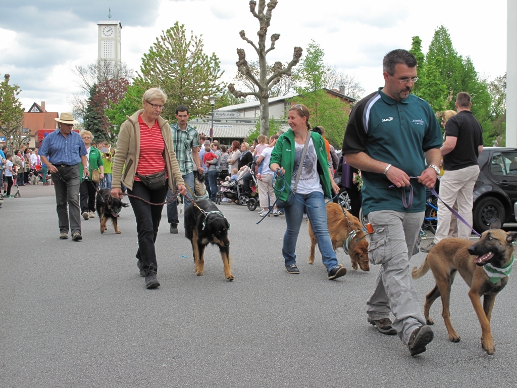 Sommertagszug und Frühlingsfest 2015