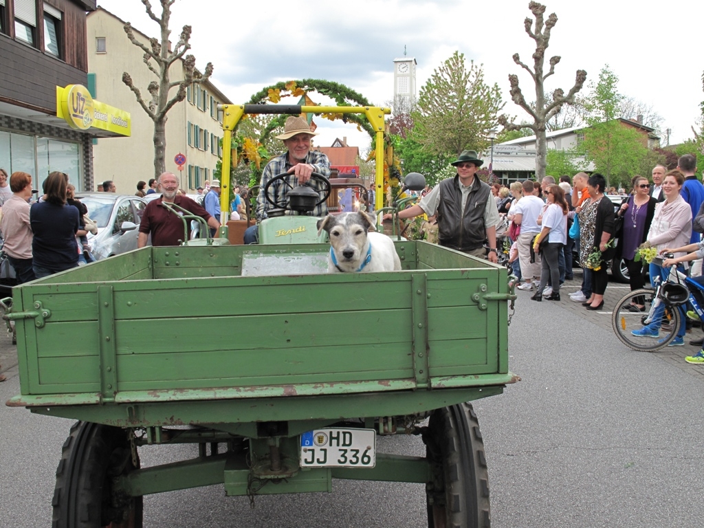 Sommertagszug und Frühlingsfest 2015