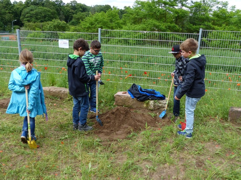 Dünenklassenzimmer Einweihung