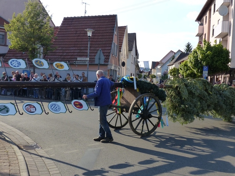 Maibaum 2017