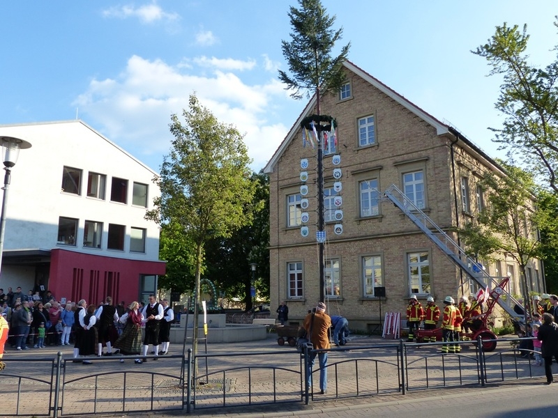 Maibaum 2017