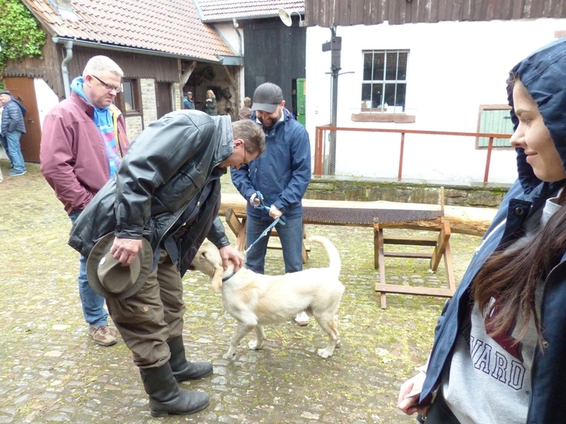 Museumstag 2017