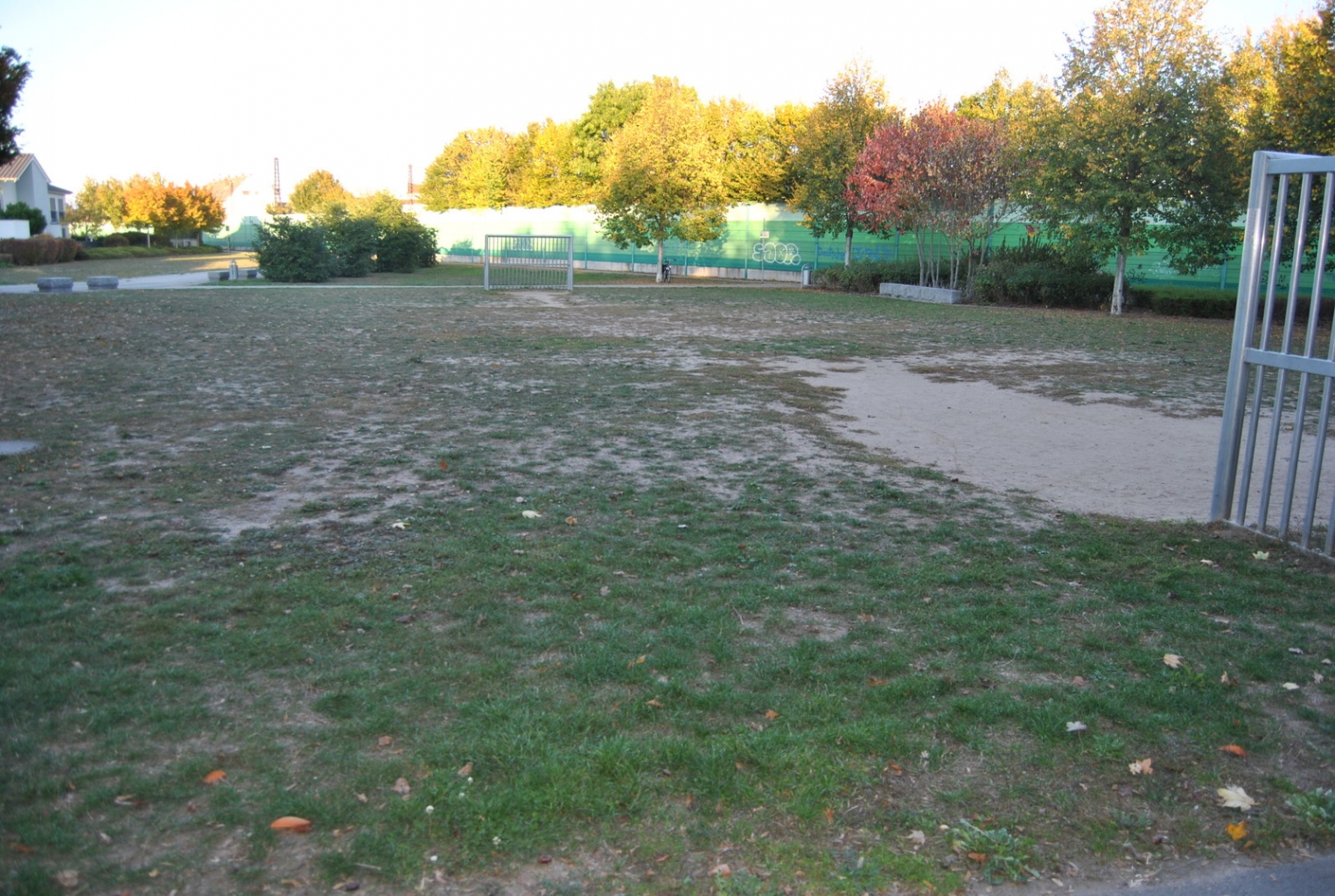 DSC 0499.JPG