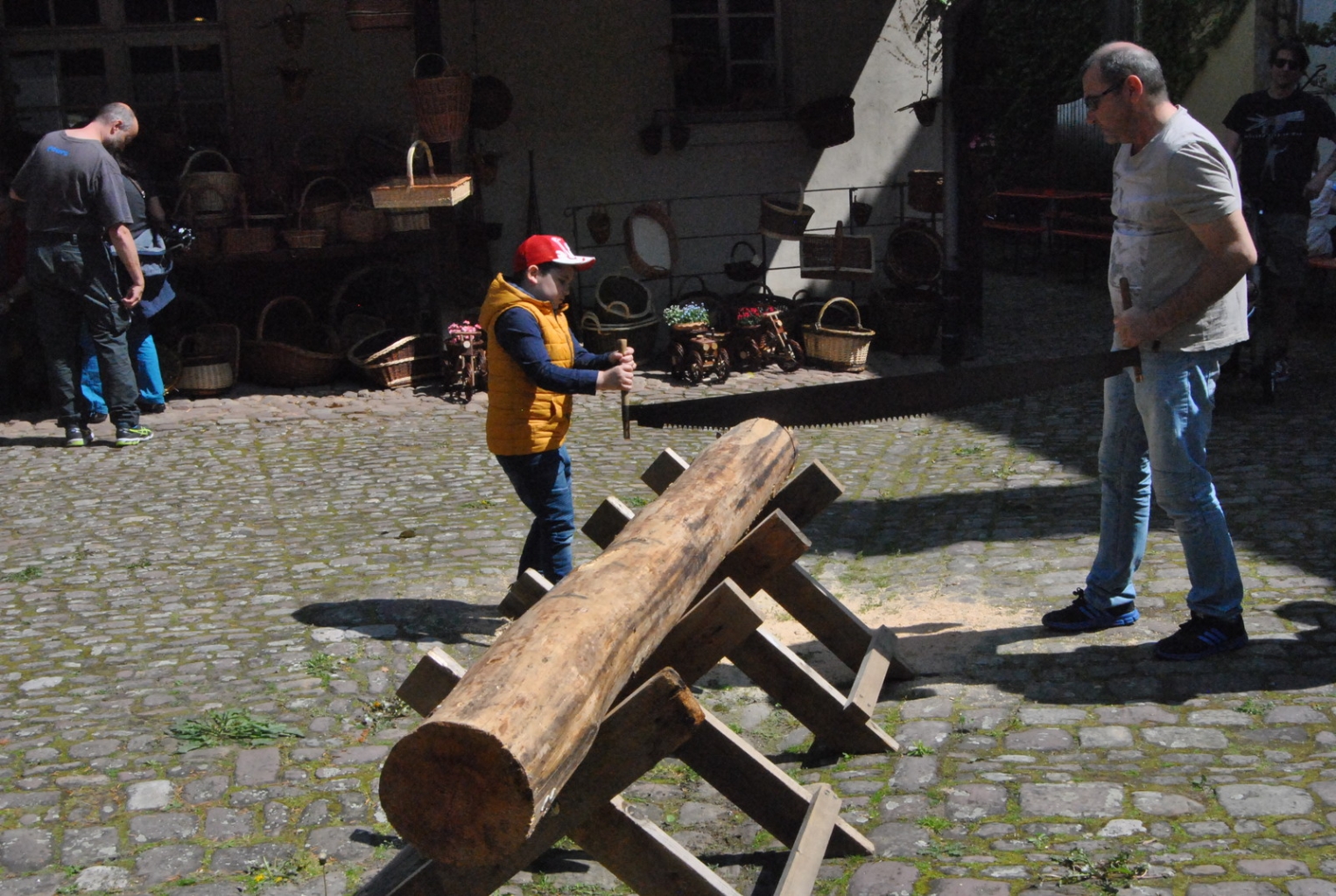 DSC 0203.JPG