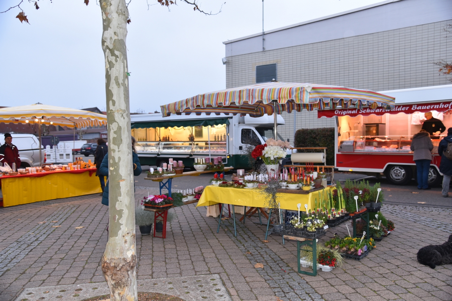Blick über den Wochenmarkt