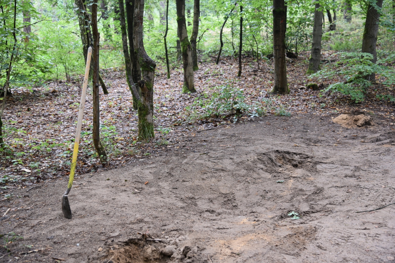 Das Trainingsgerät mit Ringen ist abgebaut worden, man sieht Sandboden, dahinter Bäume.