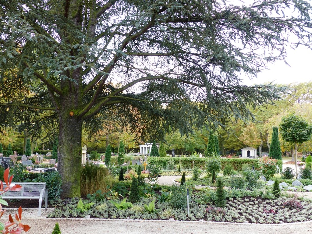 Blick auf den Friedhof Blick auf den Friedhof