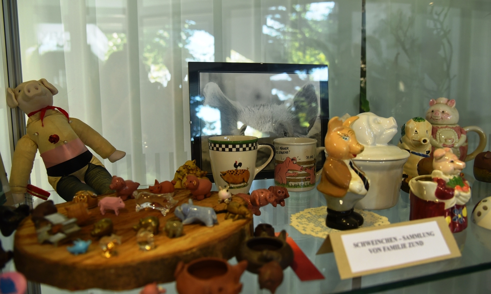 Schweine in verschiedenen Ausführungen sind im Rathausfoyer ausgestellt, aus der Sammlung der Familie Zund. 