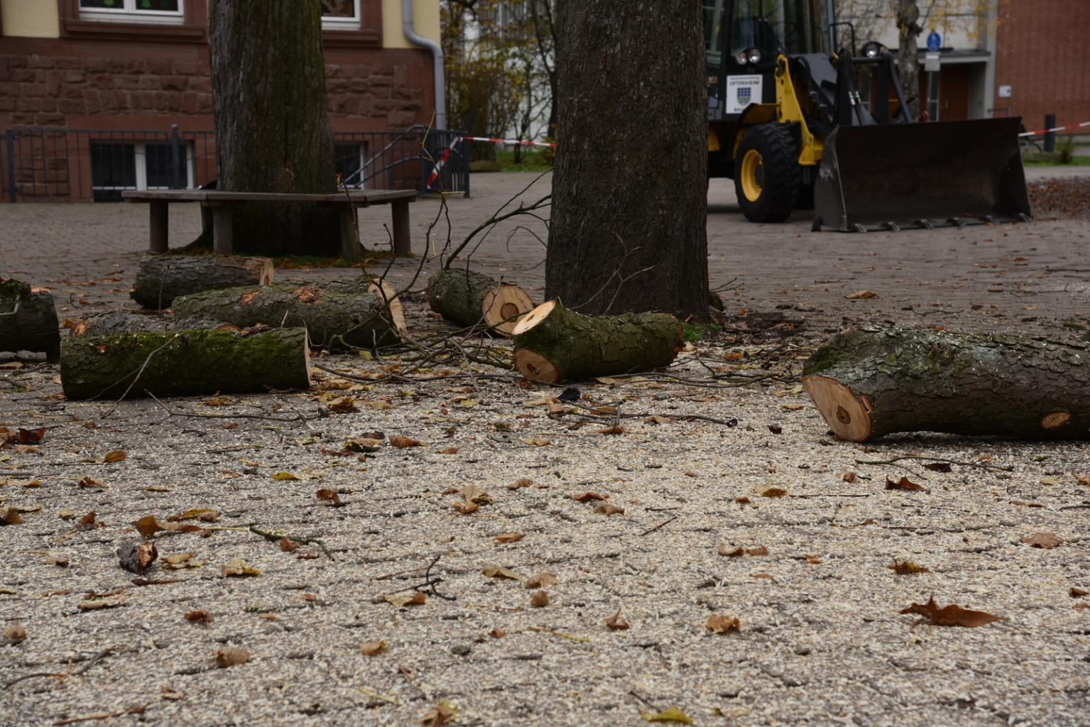 Die Stamm- und Aststücke fielen einzeln zu Boden, der mit Holzspänen bedeckt war.