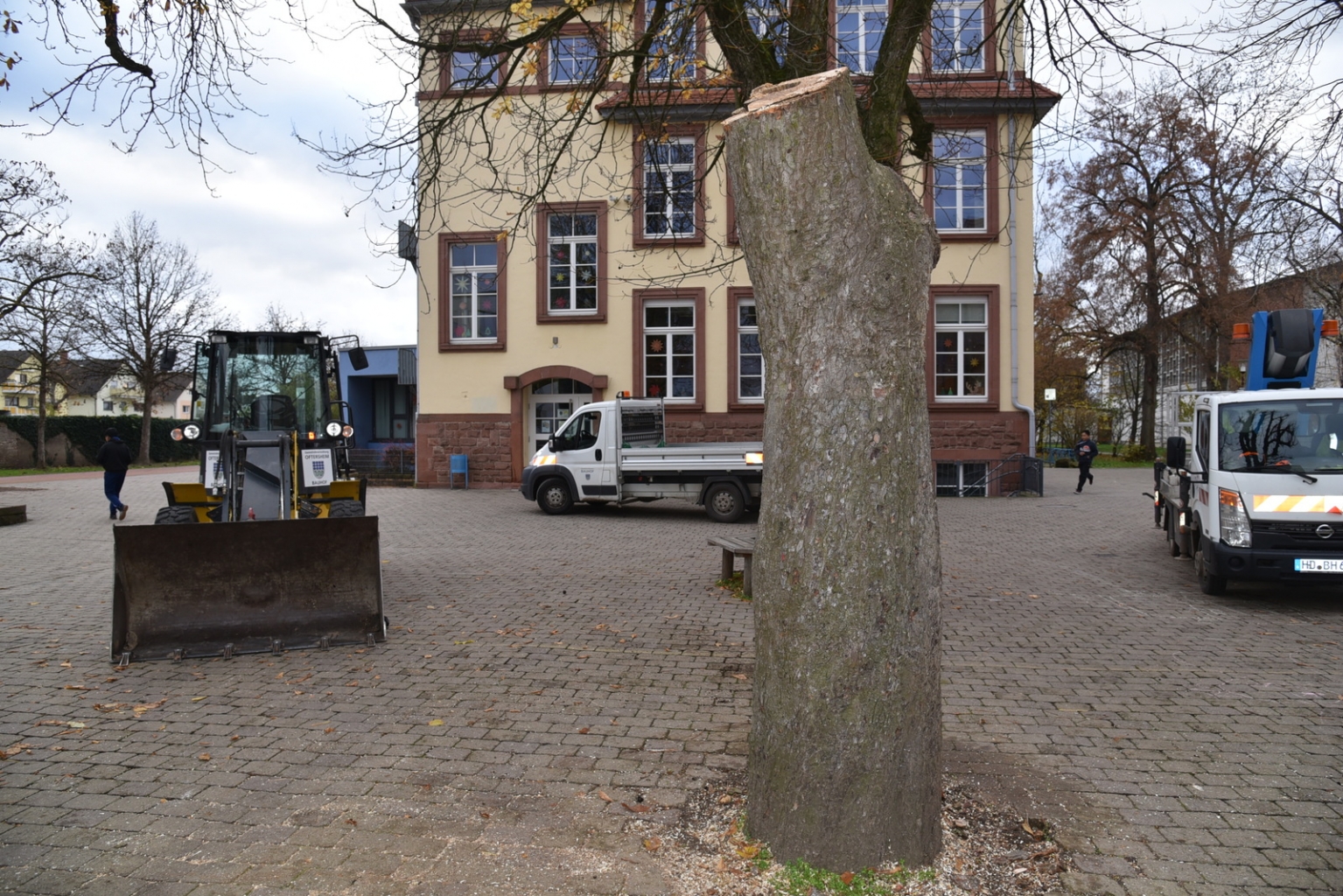 Die Arbeit ist beendet, vorläufig bleibt ein Reststamm stehen. 